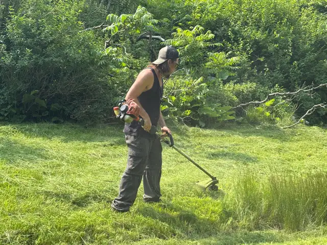 Tonte de pelouse - Photo 2