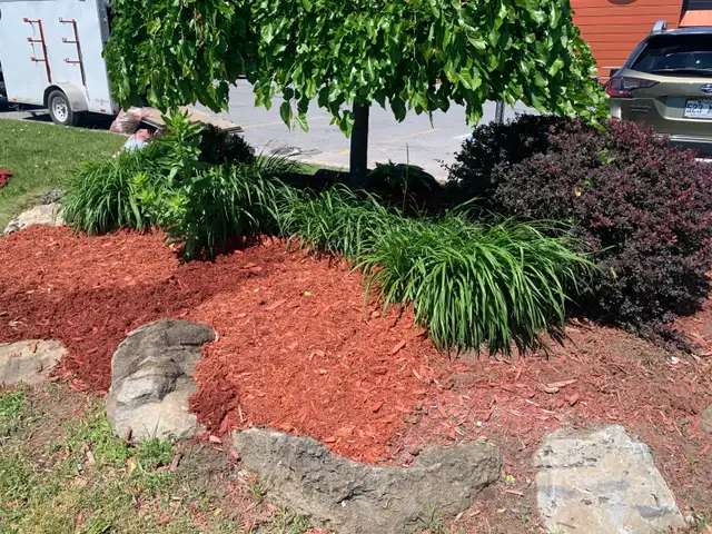 Tonte de pelouse - Photo 4