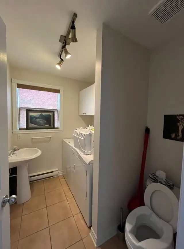 Magnifique 4/2 sur 2 étages