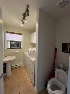 Magnifique 4/2 sur 2 étages