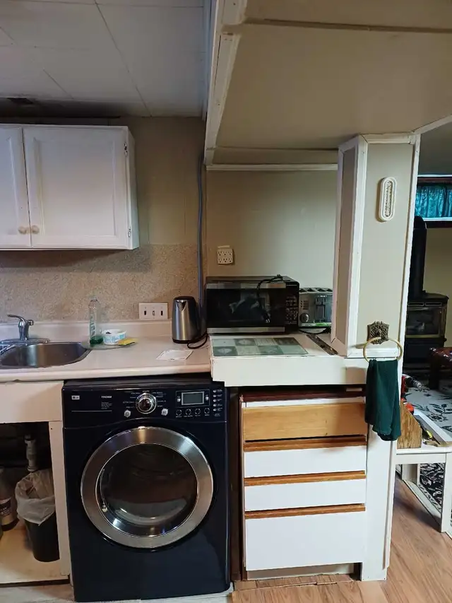 Basement Apartment - 1 Bedroom Available for Rent - Photo 6