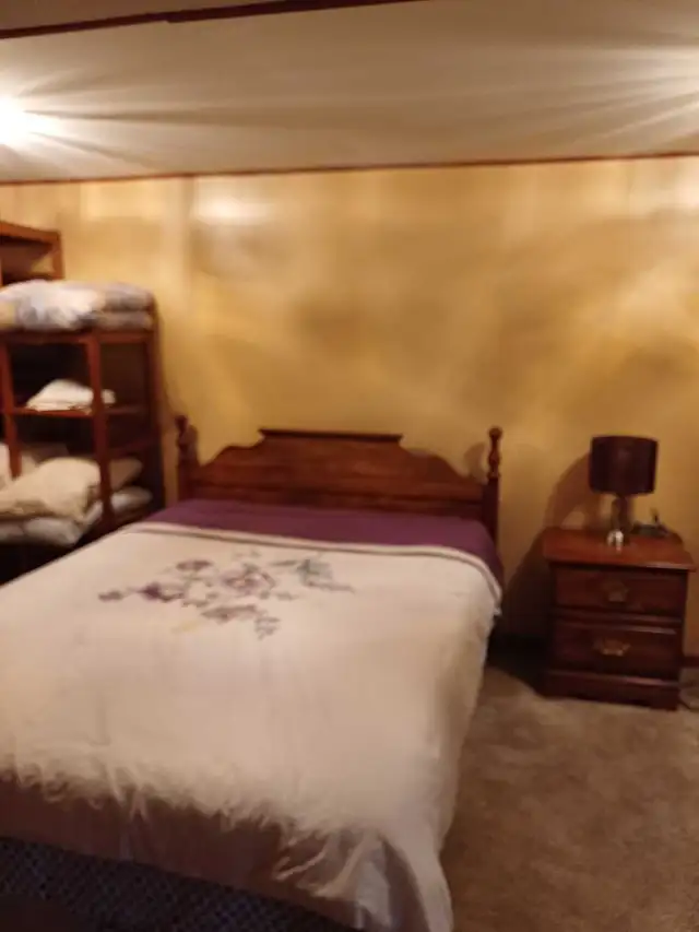 Basement Apartment - 1 Bedroom Available for Rent - Photo 9