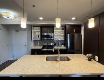 Furnished Condo For Rent