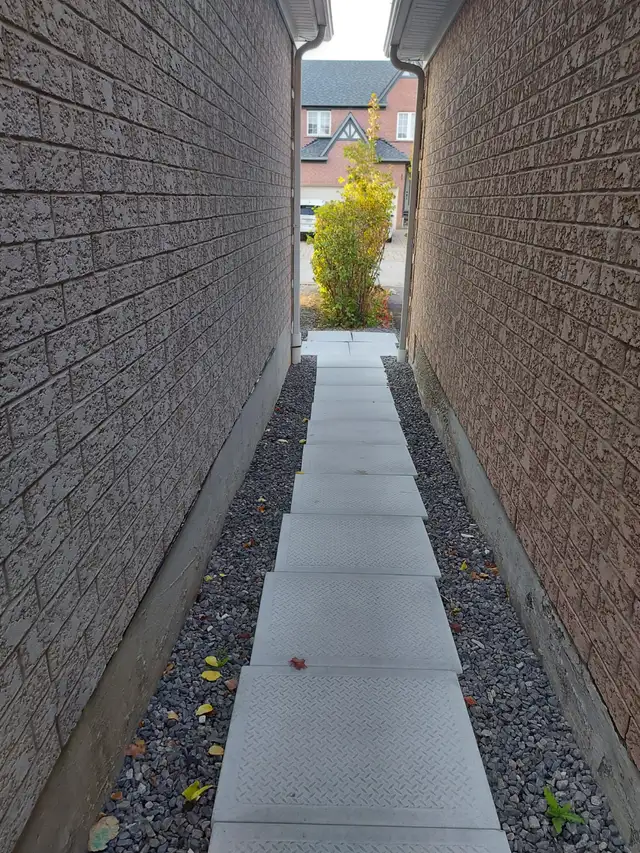 2 plus Den Legal Basement Apartment for Rent - Photo 2