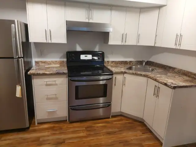 2 plus Den Legal Basement Apartment for Rent - Photo 6