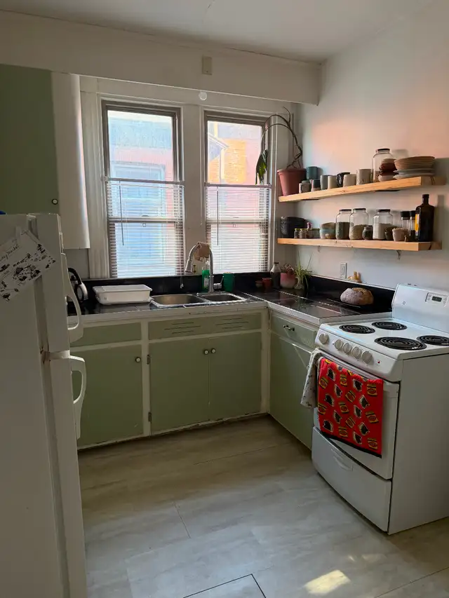 Large one bedroom, Sydenham Ward, June 1 - Photo 4