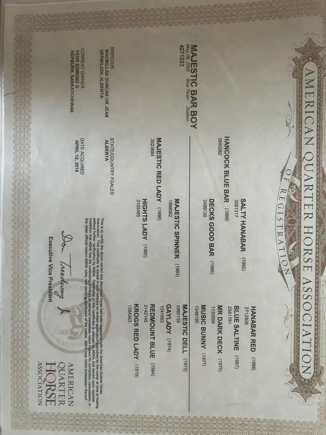 MAJESTIC BAR BOY    AQHA standing at stud plus mare care - Photo 4