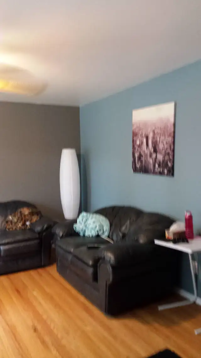 RENOVATED 4 BEDROOM BUNGALOW NEAR UNIVERSITY-$2500.00-APR. 15/26 - Photo 3