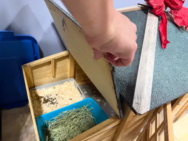 Rabbit for sale includes complete pen  enclosure - Photo 2