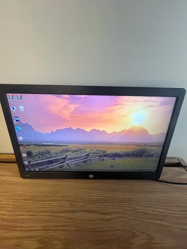 HP P223 21.5" x 2