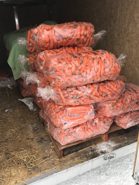 Feed carrots - Photo 2