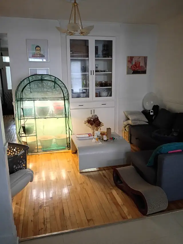 A Louer Grand 41/2 Secteur Villeray - Photo 8