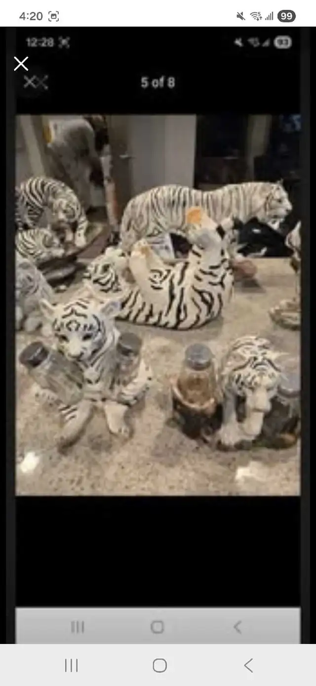 White tiger condition - Photo 5