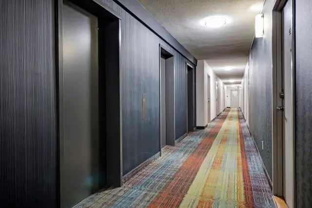 Renovated 1 Bedroom - Photo 8