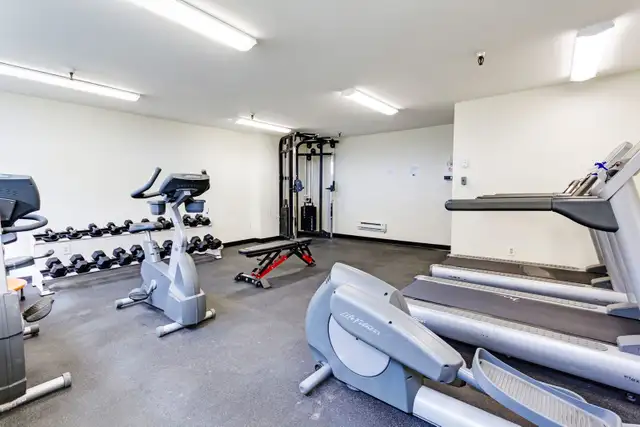 Renovated 1 Bedroom - Photo 9