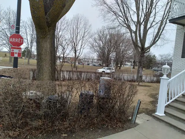 SAINT LEONARD – TRES TRES  GRAND 4 ½ HAUT TRIPLEX - PARC - Photo 2