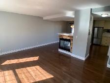 19-101 Langevin Road - Photo 6