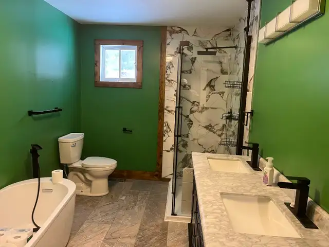 Professional painting Great prices - Photo 2