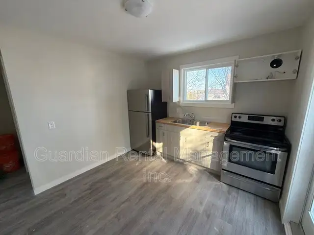 Main Level 1 Bed, 1 Bath Unit - 1 Nugent St. - $1800/month