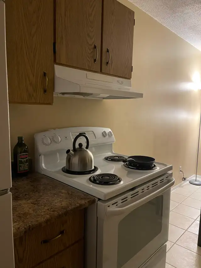 6640 Notre-Dame Street #101: 2 Bedroom Apartment (Orléans) - Photo 8