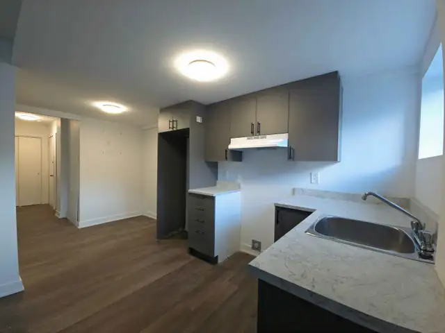 APPARTEMENT 4 1/2 À MONTRÉAL - RÉNOVÉ, CHAUFFÉ - Photo 6