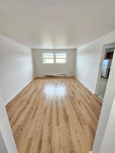 Spacious 2 Bedroom Apartment in Sydney