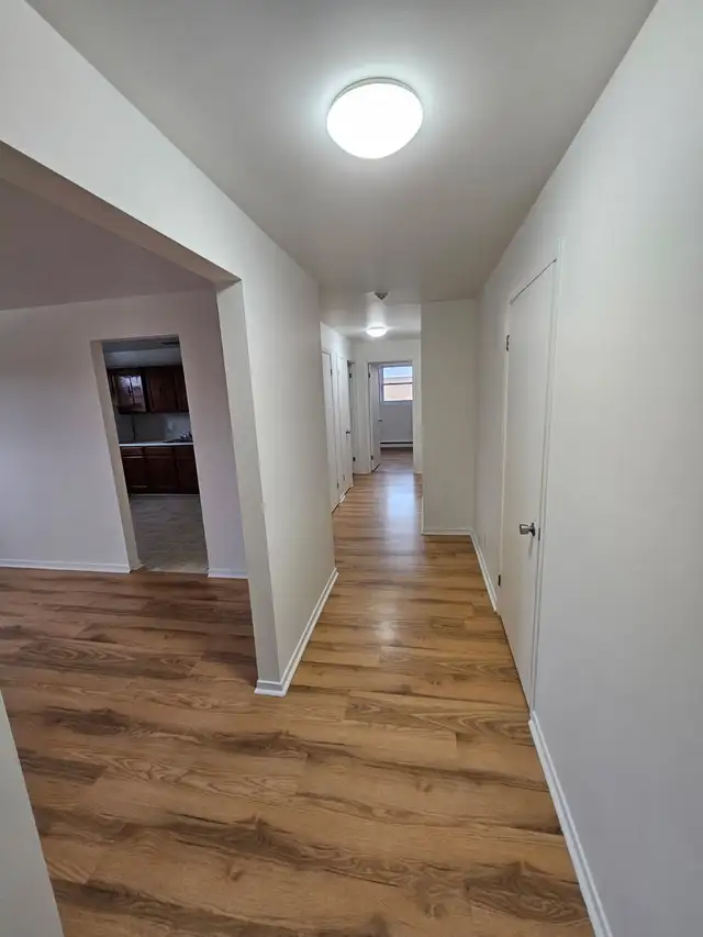 Spacious 2 Bedroom Apartment in Sydney - Photo 9
