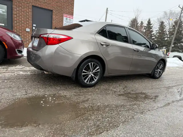 cheap rides GTA & Out of Town - Photo 2