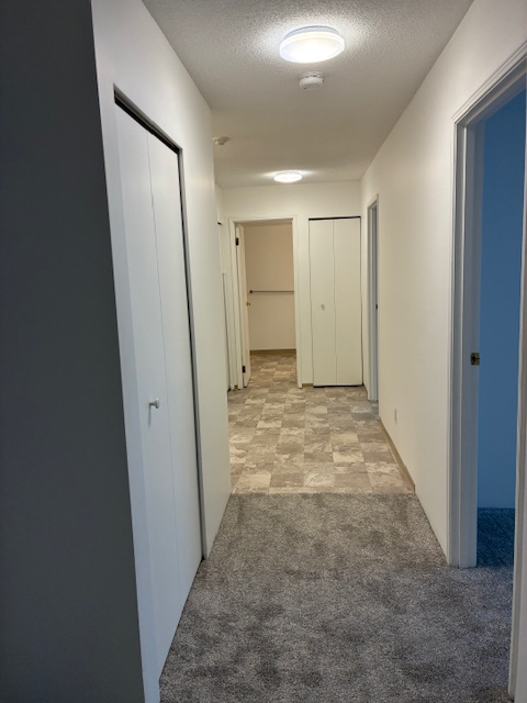 Upper Fernwood /Rockland area 2bed. 1 bath   1200Sq. ft - Photo 3