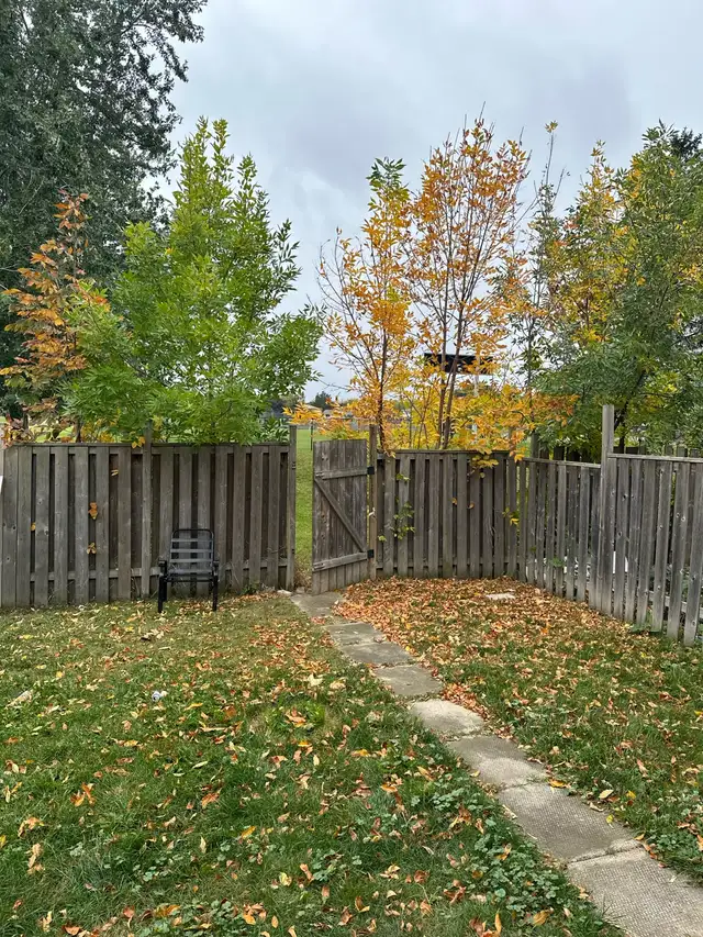 Two bedroom basement for rent from June 01,2026 - Photo 7