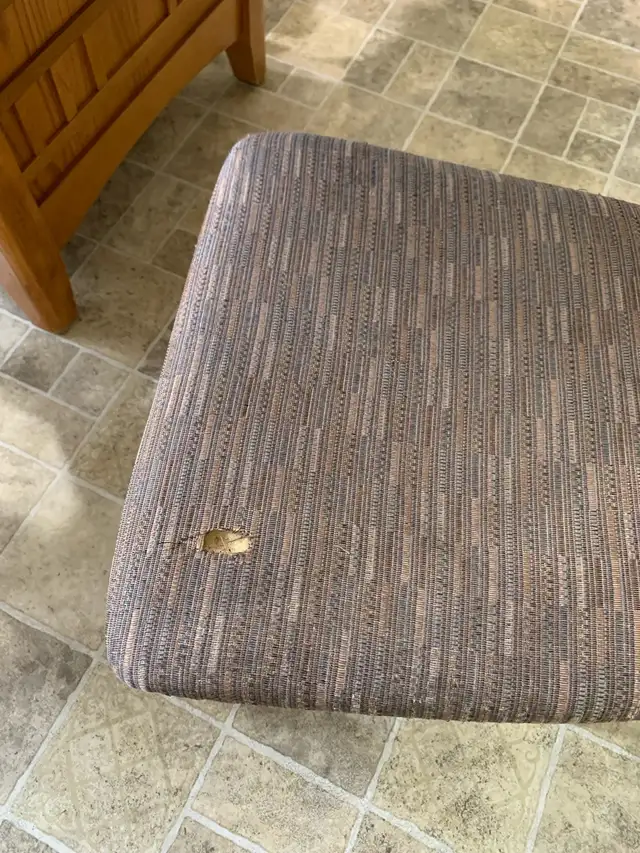 moving. must be gone asap - Photo 8