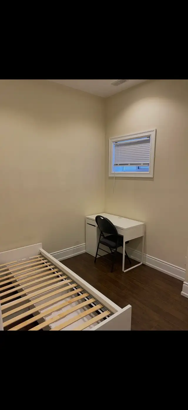 female students or young professionals - Photo 3