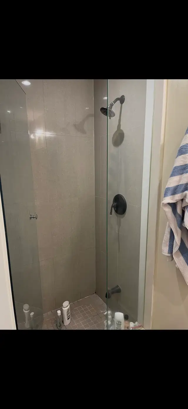 female students or young professionals - Photo 4