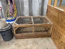 Chick Brooder or Rabbit Cage