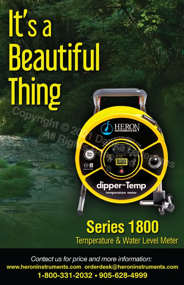 Graphic Designer ★★ Logos, BCards, Flyers, Vector, WebD, Labels - Photo 2