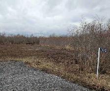 2 Acre Country Serviced Property