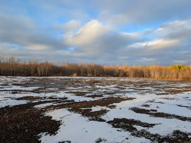 2 Acre Country Serviced Property - Photo 3