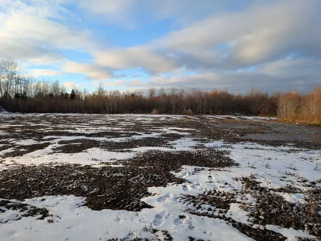 2 Acre Country Serviced Property - Photo 5