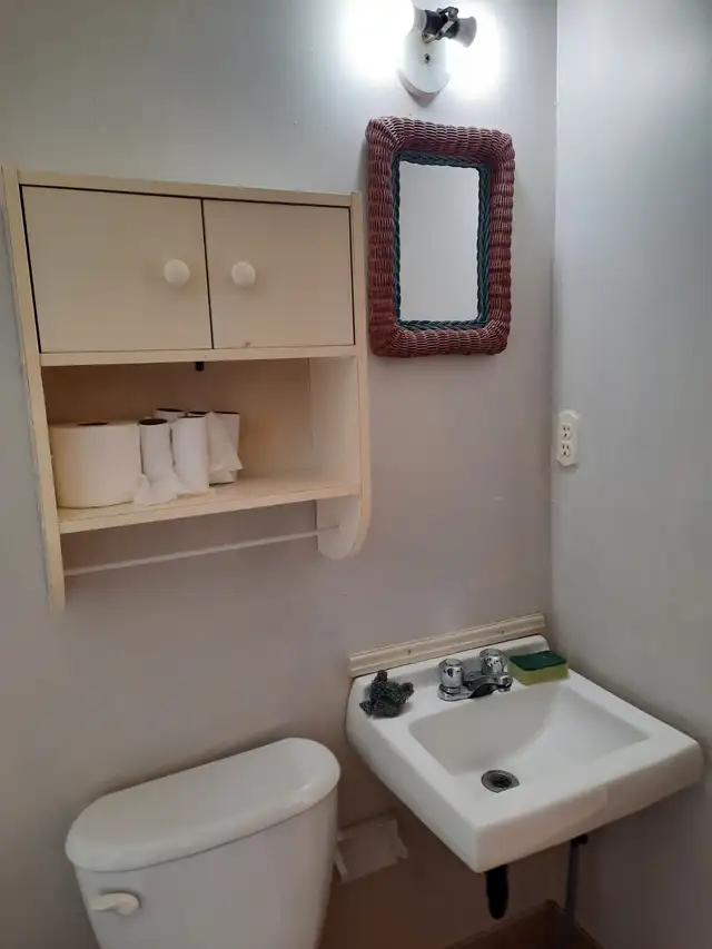 Hamilton East Bachelor $995.00 Inclusive call/text 289-700-8432 - Photo 8