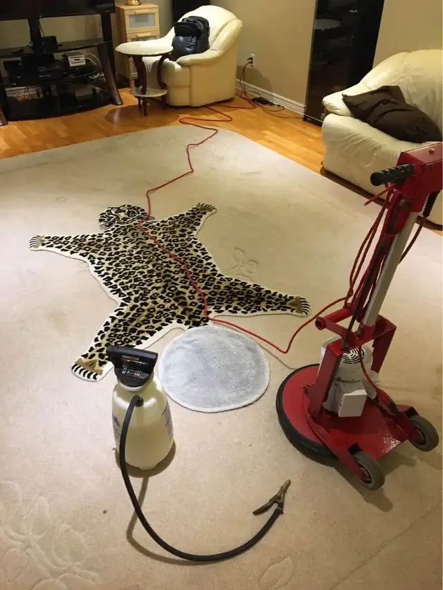 Professional Home Carpet_Rug And Couch Cleaning - Photo 2