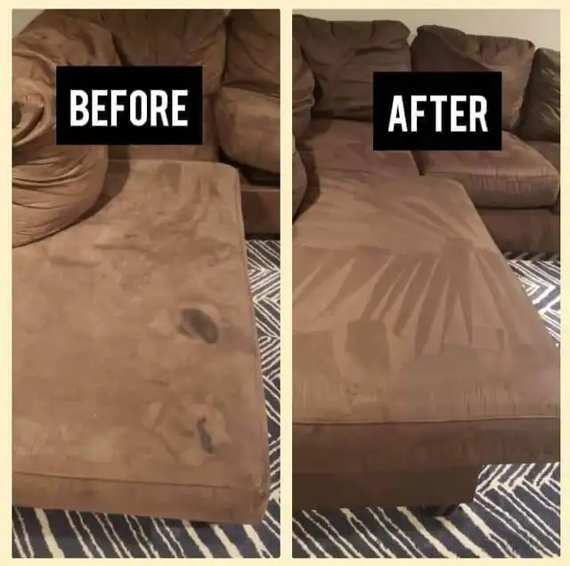 Professional Home Carpet_Rug And Couch Cleaning - Photo 3