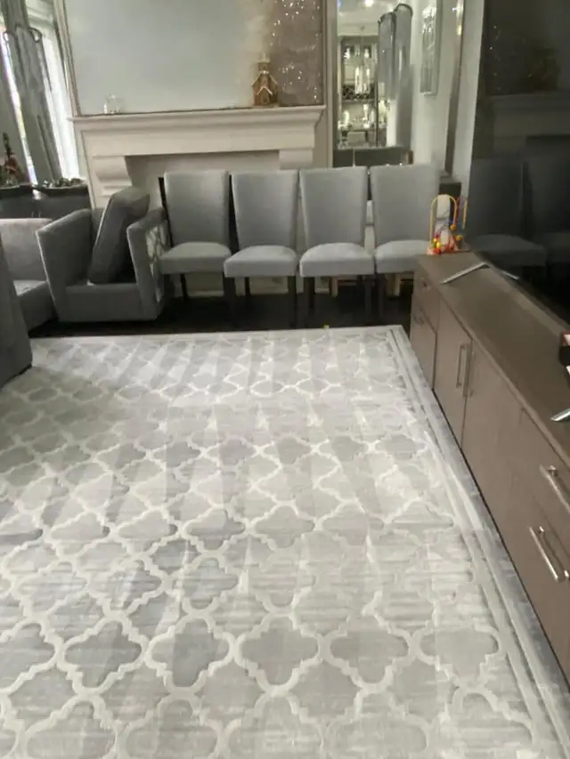 Professional Home Carpet_Rug And Couch Cleaning - Photo 5