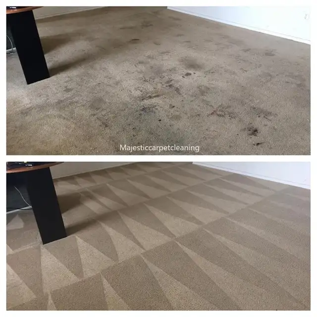 The Best Home Carpet,Rugs And Couch Cleaning - Photo 2