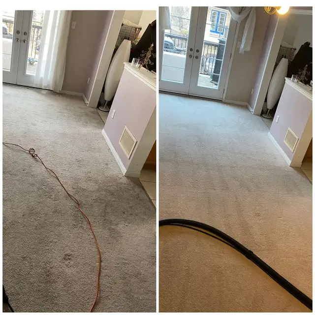 The Best Home Carpet,Rugs And Couch Cleaning - Photo 3