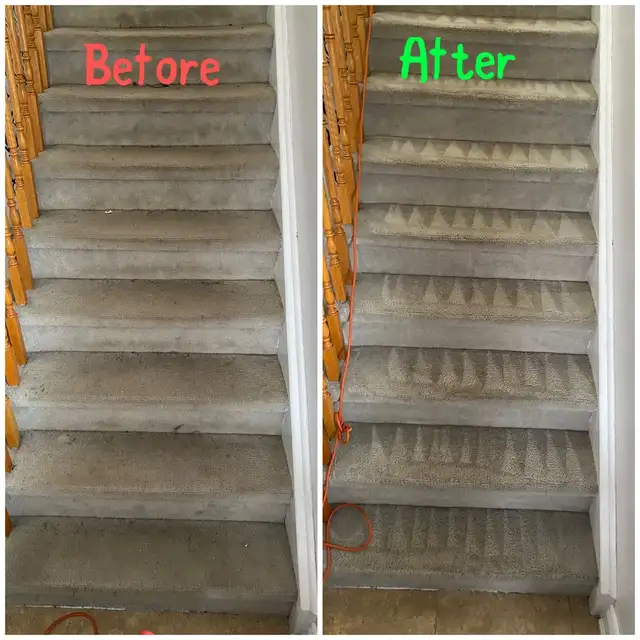 The Best Home Carpet,Rugs And Couch Cleaning - Photo 4