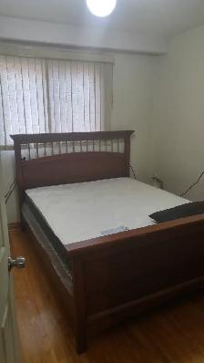 Room For Rent Near Humber Collage - Photo 9