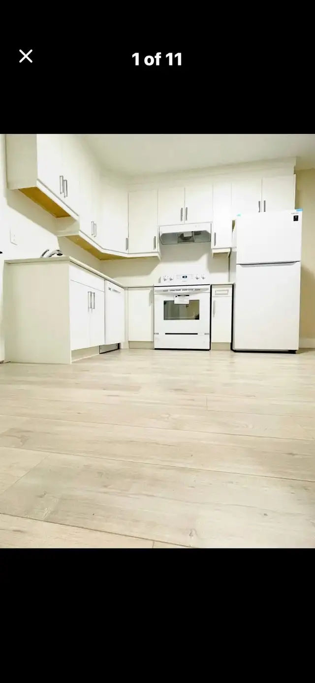 1 bedroom suite for rent