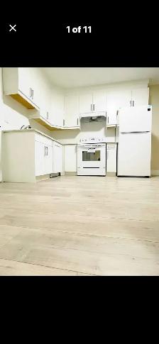 1 bedroom suite for rent