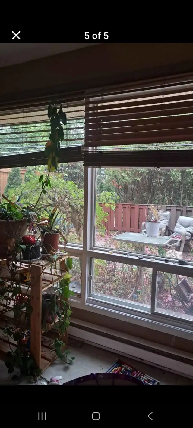 Large room for rent - Photo 5