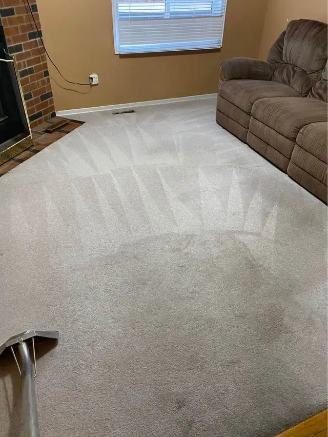 Best House Carpet,Upholstery And Couch Cleaning - Photo 3